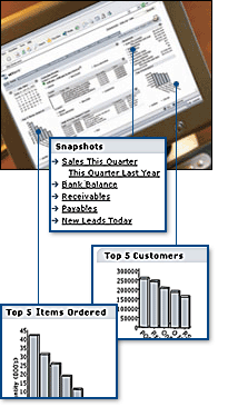 NetSuite's Dashboard